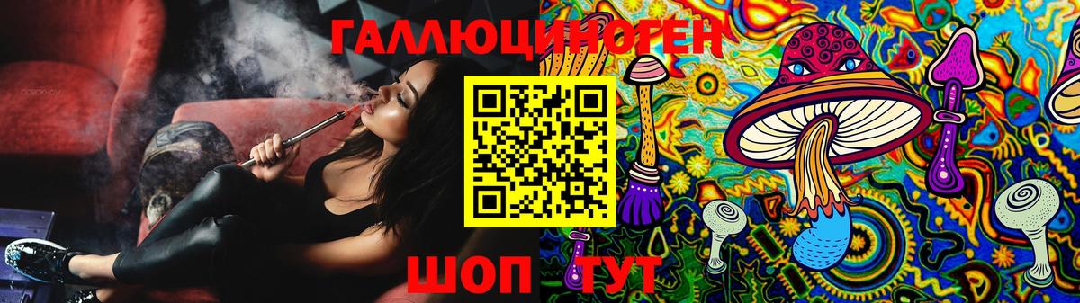 где можно купить наркотик  Вход с VPN  Галлюциногенные грибы Psilocybe  Чайковский  Псилоцибиновые грибы мухоморы 